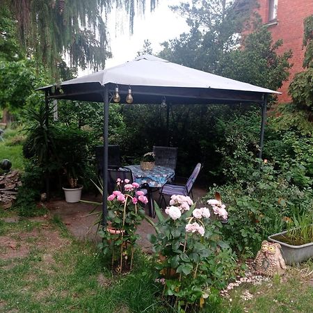 Ferienwohnung Markert Blankenburg  Pokoj fotografie