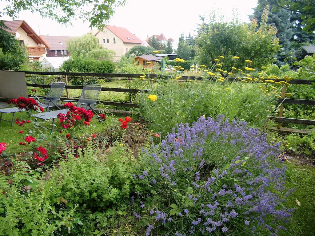 Ferienwohnung Markert Blankenburg  Exteriér fotografie