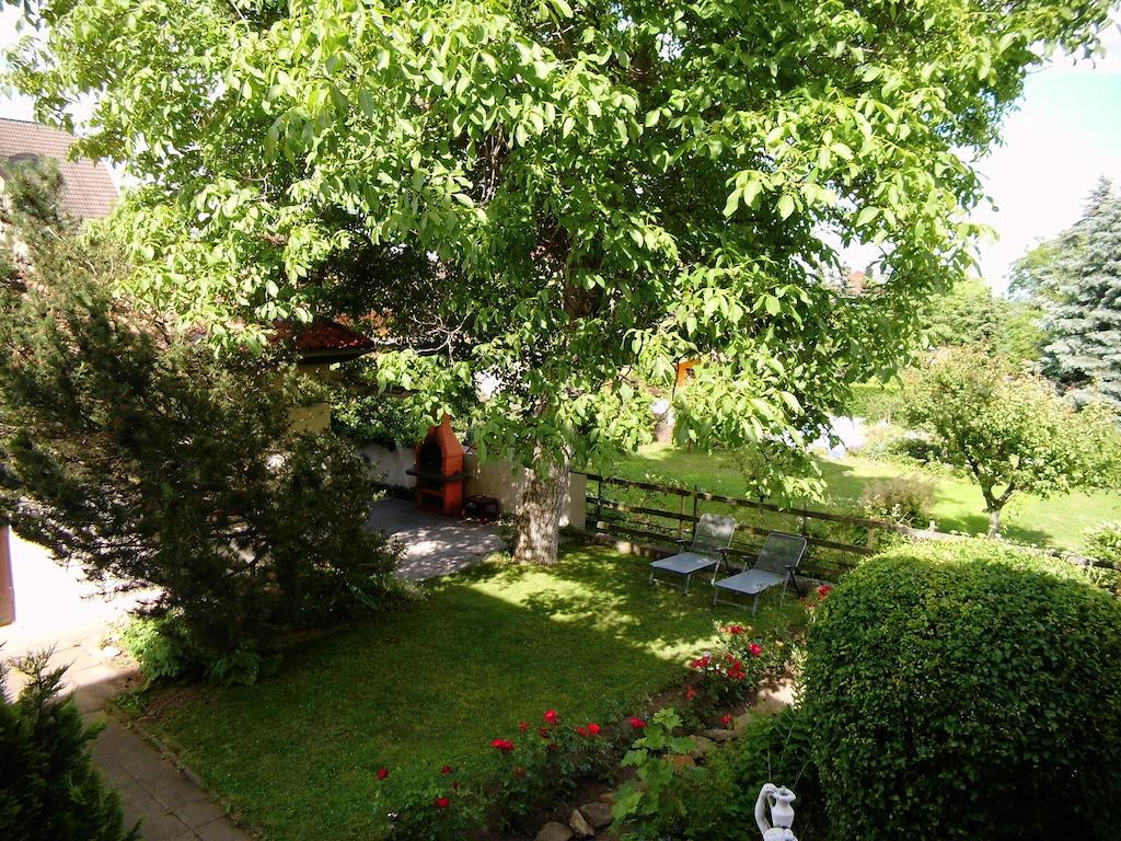 Ferienwohnung Markert Blankenburg  Exteriér fotografie