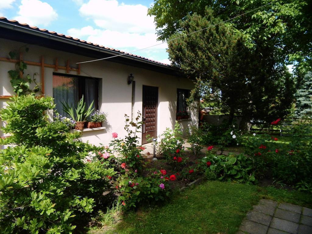 Ferienwohnung Markert Blankenburg  Pokoj fotografie